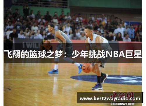 飞翔的篮球之梦：少年挑战NBA巨星